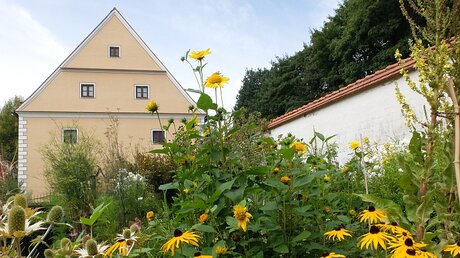 Blumen im Garten der Zisterzienserinnenabtei Oberschönenfeld / © Christopher Beschnitt (KNA)