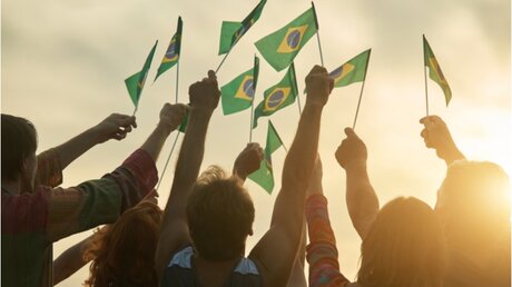 Brasilianische Flaggen / © DenisProduction.com (shutterstock)