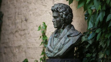 Büste aus Bronze von Ludwig van Beethoven im Garten in Beethovens Geburtshaus / © Jörg Loeffke (KNA)