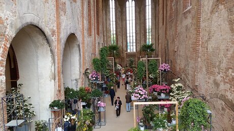 BuGa 2015: Blumen im Kirchenschiff (DR)
