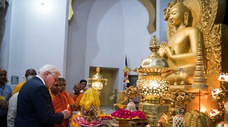 Bundespräsident Steinmeier besucht Indien / © Bernd von Jutrczenka (dpa)