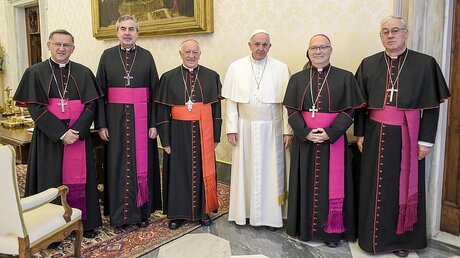 Chilenische Bischöfe bei Papst Franziskus / © Vatican Media (KNA)