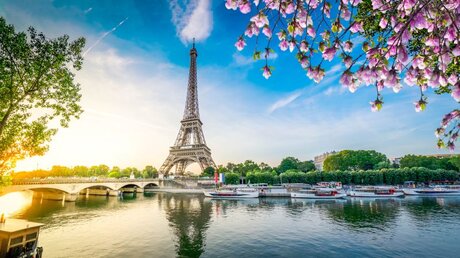 Der Eiffelturm in Paris / © Neirfy (shutterstock)