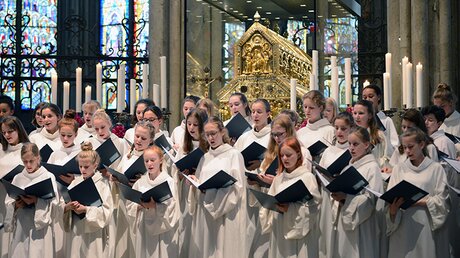 Der Mädchenchor am Kölner Dom hat sich in 30 Jahren zu einem Spitzenensemble mit eigenem Profil entwickelt. / © Tomasetti (DR)
