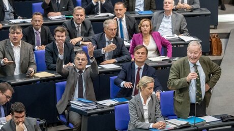 Die AfD-Fraktion im Deutschen Bundestag / © Michael Kappeler (dpa)