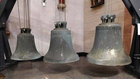 Die drei Glocken aus St. Thomas Morus im Kirchenschiff von St. Andreas / © Jan Hendrik Stens (DR)