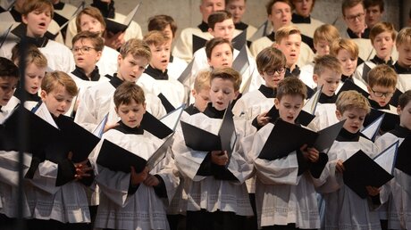 An diesem Sonntag stand die Missa brevis in G von Josef Rheinberger auf dem Programm des Domchores. / © Beatrice Tomasetti (DR)