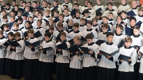 Den Kölner Domchor verstärken 20 Knaben, die von nun an im A-Chor singen / © Beatrice Tomasetti (DR)