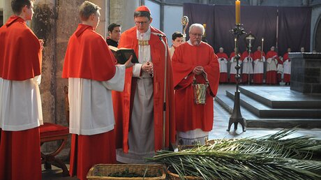 Messdiener und Kardinal Woelki am Palmsonntag / © Tomasetti (DR)