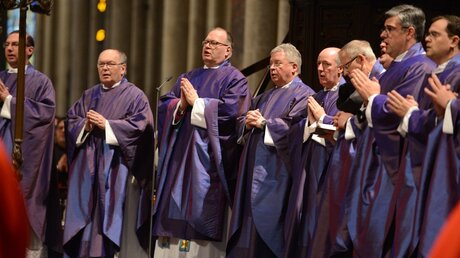Die liturgische Farbe im Advent: violett / © Beatrice Tomasetti (DR)