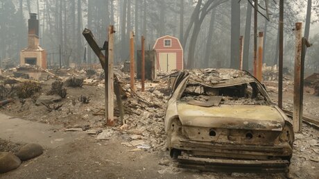 Ein ausgebrannter Pkw und Trümmer nach dem Waldbrand / © Barbara Munker (dpa)