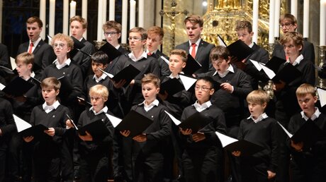 Ein Großteil des Konzertprogramms der Würzburger besteht aus Barock-Motetten. / © Beatrice Tomasetti (DR)