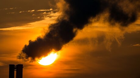 CO2-Ausstoß / © Patrick Pleul (dpa)