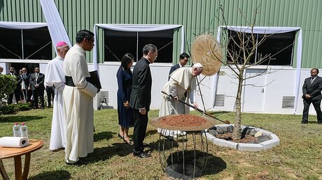 In Erinnerung an seinen Besuch pflanzen Papst Franziskus und Andry Rajoelina, Präsident von Madagaskar, einen Baum / © Vatican Media (KNA)