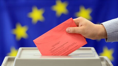 Europawahl (dpa)