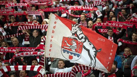 Fans des 1. FC Köln im Stadion / © Federico Gambarini (dpa)