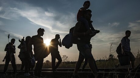 Flüchtlinge an der Grenze zwischen Ungarn und Serbien / © Sandor Ujvari (dpa)