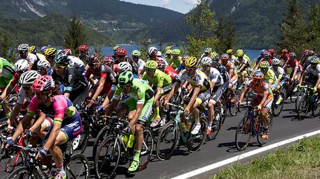 Radsportler beim Giro d'Italia 2016 / © Claudio Peri (dpa)