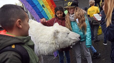 Greenpeace demonstriert in Bonn mit einer Eisbärenpuppe / © Henning Kaiser (dpa)