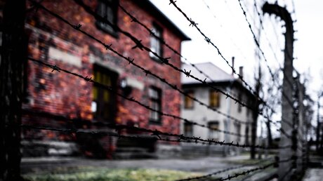 Hinter Stacheldraht: Gedenkstätte Auschwitz-Birkenau / © Giorgi L (shutterstock)