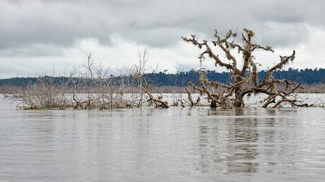Hochwasser im Amazonasgebiet am Rio Xingu bei Altamira (Brasilien) am 16. April 2019, bedingt durch den Bau des Belo Monte Damms / © Paul Jeffrey (KNA)
