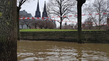 Hochwasser in Köln / © Johannes Schroeer (DR)