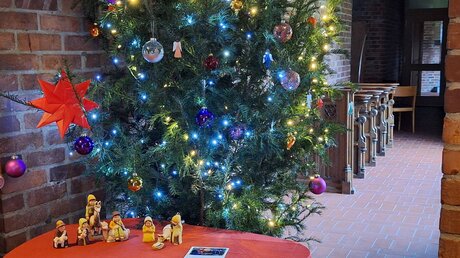 Weihnachtsbaum im Kloster Angermund / © Sr. Emmanuela (DR)