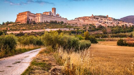 Blick auf die Stadt Assisi / © canadastock (shutterstock)