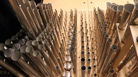 Die kleinsten Pfeifen der neuen Orgel im Mainzer Dom / © Hoffmann (Bistum Mainz)