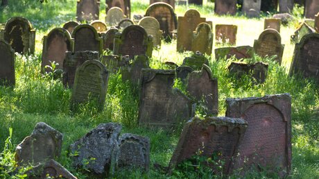 Grabsteine auf dem jüdischen Friedhof, genannt Heiliger Sand, in Worms am 1. Juni 2021. / © Harald Oppitz (KNA)