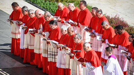 Kardinäle beim Konsistorium am 30. September 2023 auf dem Petersplatz im Vatikan / © Cristian Gennari/Romano Siciliani/KNA (KNA)