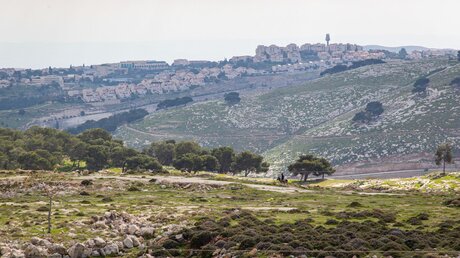 Blick auf die israelische Siedlung Ma'ale Adumim / © Andrea Krogmann (KNA)