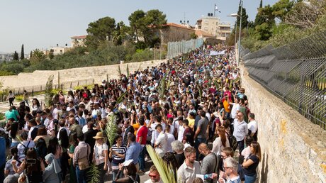 Teilnehmer bei der Palmsonntagsprozession in Jerusalem / © Andrea Krogmann (KNA)