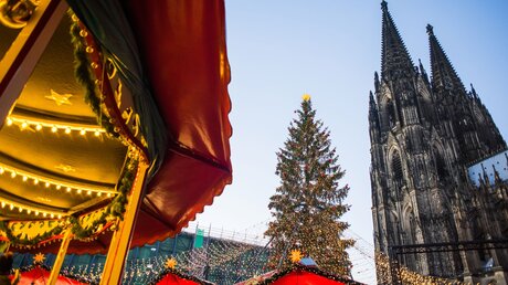 Weihnachtsbaum auf dem Kölner Weihnachtsmarkt / © Kite_rin