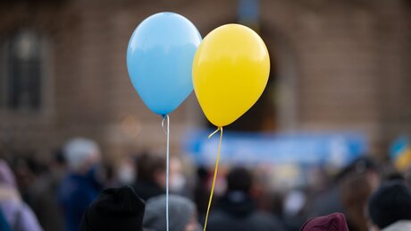 Luftballons in den Farben der Ukraine / © Daniel Reinhardt (dpa)