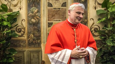 Kardinal Konrad Krajewski, Almosenpfleger Seiner Heiligkeit, am 28. Juni 2018 im Vatikan / © Stefano Dal Pozzolo/Romano Siciliani (KNA)