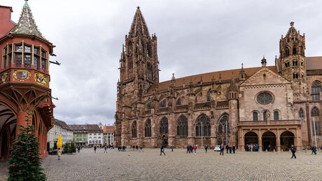 Blick auf das Freiburger Münster / © makasana photo (shutterstock)