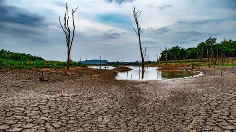 Dürre in Afrika / © PANYA PRASATNOK (shutterstock)