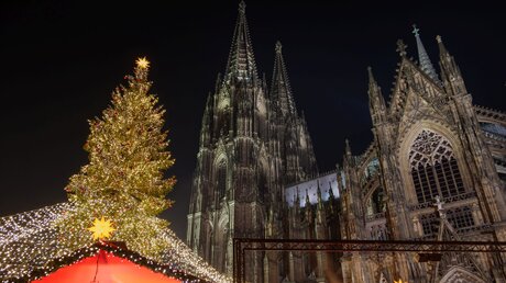 Kölner Dom an Weihnachten / © Peeradontax (shutterstock)
