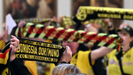 Fans von Borussia Dortmund / © Federico Gambarini (dpa)