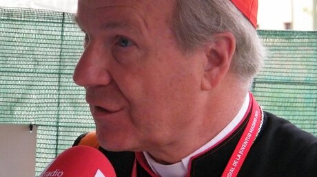 Kardinal Schönborn in Madrid: Der WJT schafft eine persönliche Stärkung im Glauben (DR)