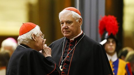Kardinal Gerhard Ludwig Müller (m.) im Gespräch / © Paul Haring (KNA)