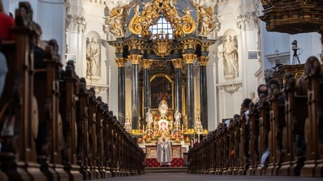 Kardinal Reinhard Marx predigt im Fuldaer Dom / © Frank Rumpenhorst (dpa)