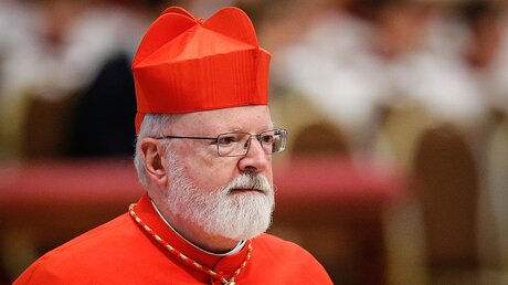 Kardinal Sean Patrick O'Malley, Erzbischof von Boston / © Paul Haring (KNA)