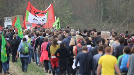 Massenprotest am Hambacher Forst / © Henning Martin Schoon (DR)