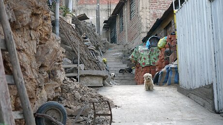 Menschenunwürdig ist die Wohnsituation vieler armer Menschen in Perus Hauptstadt Lima.  / © Mateusz Rdzanek (privat)