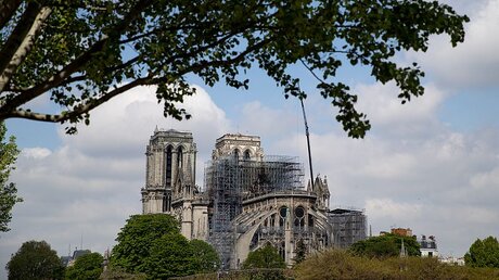 Nach dem Brand der Kathedrale Notre-Dame / © Marcel Kusch (dpa)