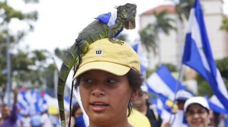 Nicaragua: Demonstrantin mit Leguan / © Alfredo Zuniga/AP (dpa)
