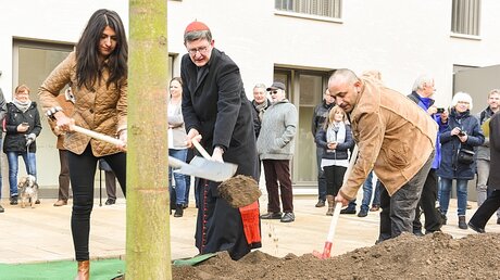 NRW-Integrationsstaatssekretärin Serap Güler, Kardinal Woelki und Flüchtling Bassam Ghazlan pflanzen einen Baum / © Julia Steinbrecht (KNA)