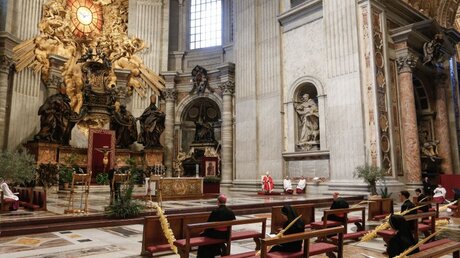 Palmsonntag mit Papst Franziskus / © Paul Haring/CNS photo (KNA)